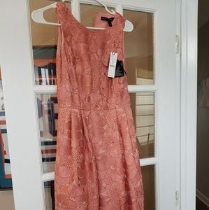 White house black market knee length dress 0 NWT